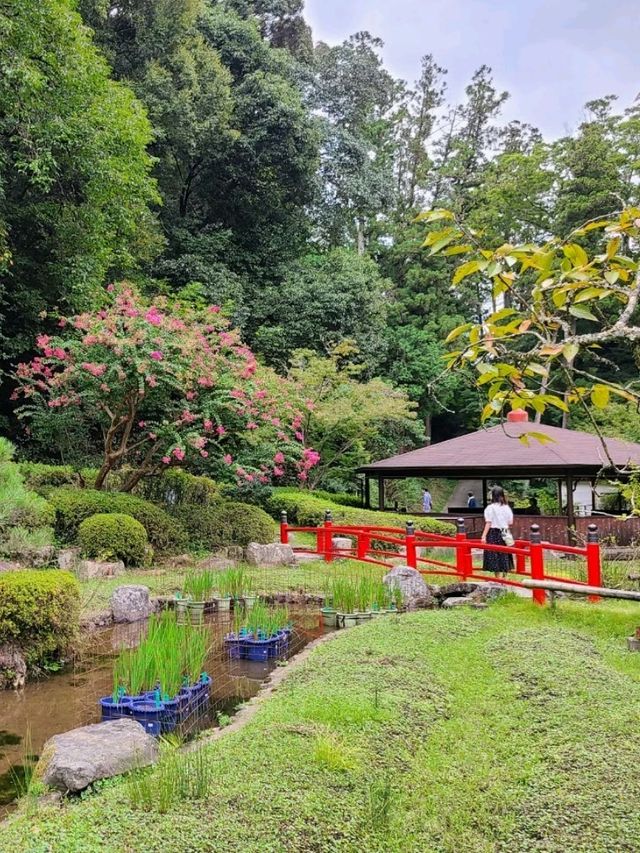 【滋賀】石山寺を散策しよう