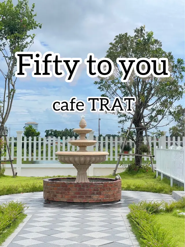 Fifty to you cafe