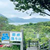 【ペットとお出かけ】本栖湖をぶらりお散歩！