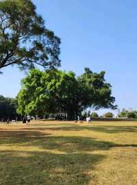 城市綠洲晨運勝地