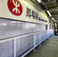 香港必黎景點-沙田馬場一日體驗游