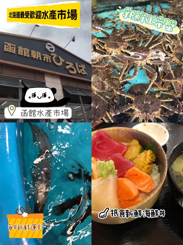 北海道最受歡迎👏🏻海產市場🤩新鮮運到😍扺食海鮮👀函館水產市場