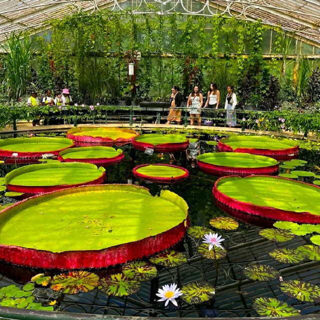 GORGEOUS ROYAL BOTANIC GARDENS, KEW!