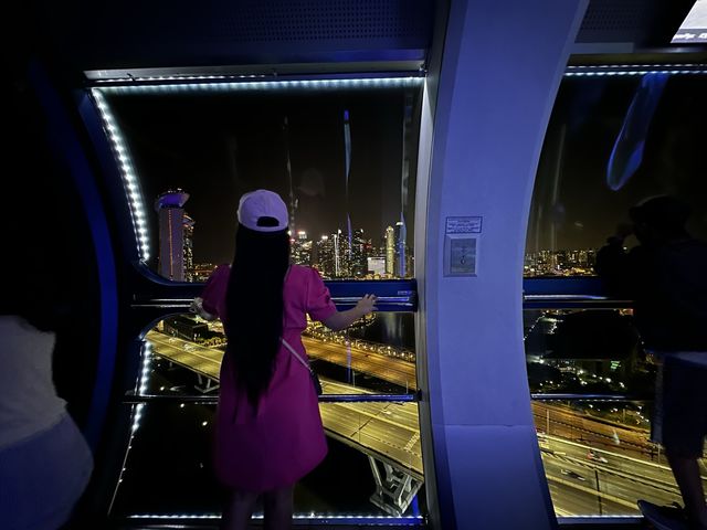 ชมวิวระฟ้ากับ Singapore Flyer 