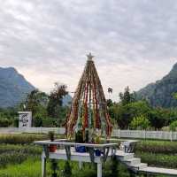 Family Trip ที่หุบป่าตาด Bike Camp