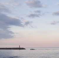🌊 강릉의 푸르름, 파란 바다의 송정해변에서 힐링을