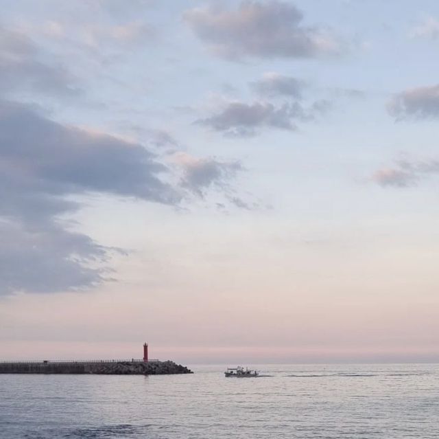🌊 강릉의 푸르름, 파란 바다의 송정해변에서 힐링을