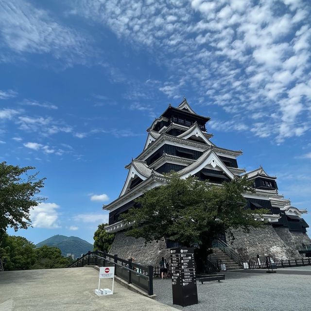 The Iconic Kumamoto Castle🏯🇯🇵