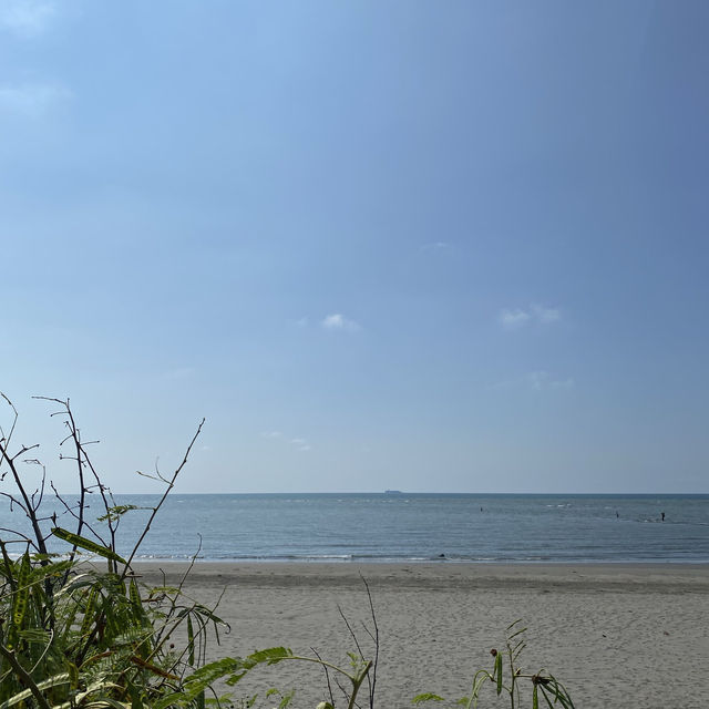 大安濱海樂園🌊