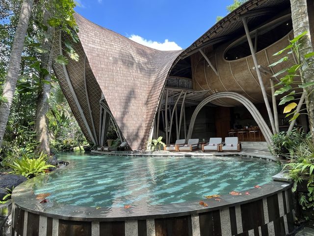 Avatar Experience in Bamboo Eco Resort Bali