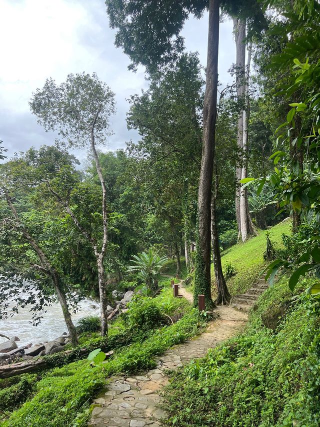 เที่ยวอุทยานเขาหลัก-ลำรู่ พังงา 🏔️🌊