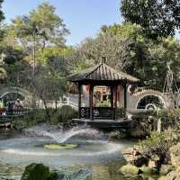 🏯🌸 禪意園林美境～清暉園博物館🍃🎋