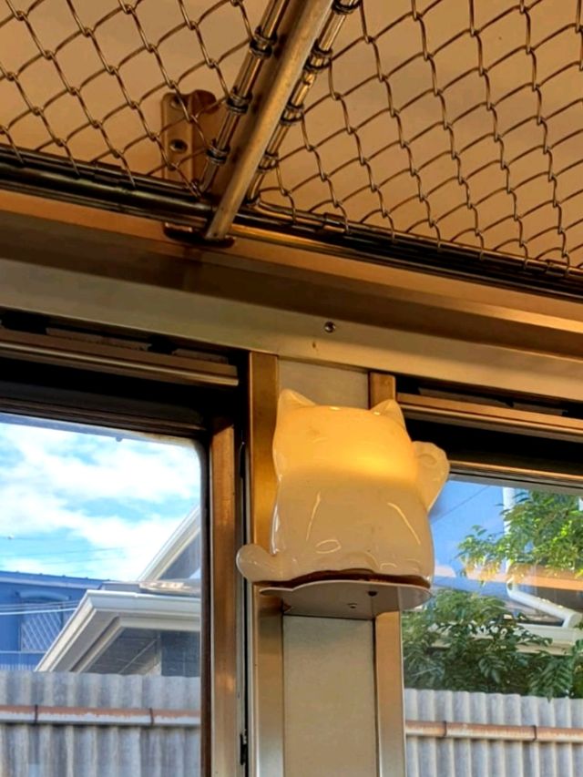 A Purrfect Tribute to Tama's Legacy