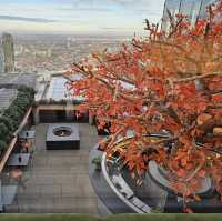 Dining sushi in the air