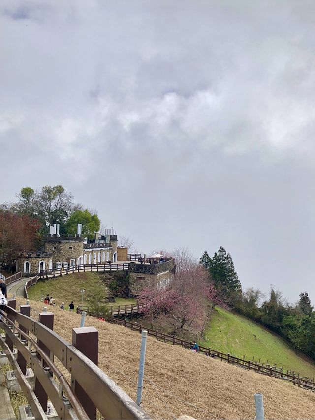 Qingjing Farm - Nantou 🐑