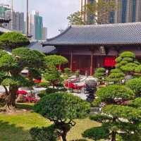 珍石展覽！大雄殿，觀音殿，藥師佛殿環立！氣象千字萬宙！