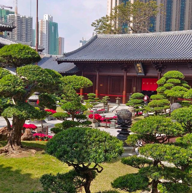 珍石展覽！大雄殿，觀音殿，藥師佛殿環立！氣象千字萬宙！