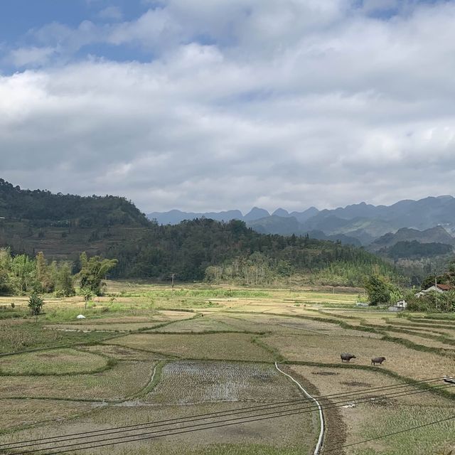 Ha Giang Loops beautiful scenery 