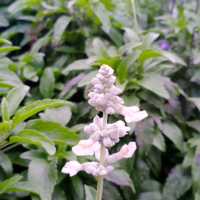 ［古亭站 景點］運動健身好去處 ~ 古亭河濱公園