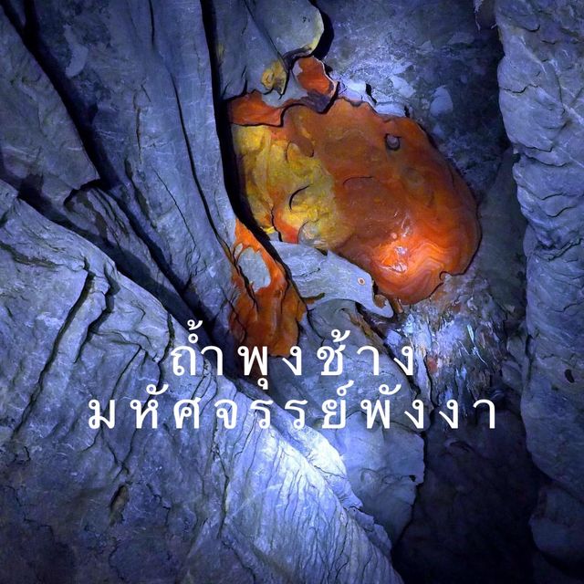ถ้ำพุงช้าง มหัศจรรย์พังงา