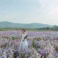 คาเฟ่กลางสวนดอกไม้ วิวภูเขา มุมถ่ายรูปเพียบ