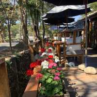 Bee & Rose café