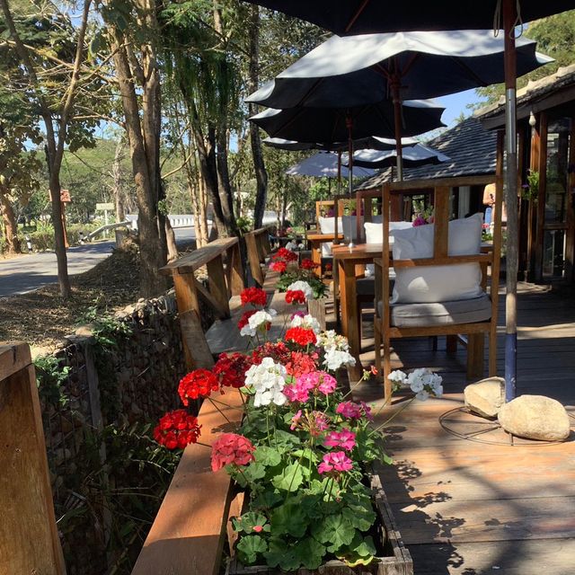 Bee & Rose café