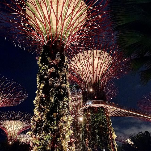 Supertree Grove~彷似走進阿凡達世界