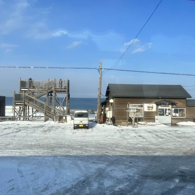 【北海道】バスからの車窓が美しすぎる