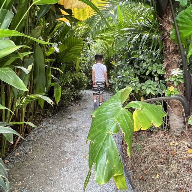 🌹Bubble In The Forest🌹🏡🌴🌳🏝️🍹🥥🪷🌻🌼🌸🌺