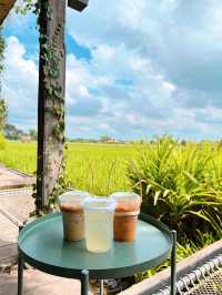 泰國曼谷近郊打卡 | meena cafe 🌾  稻田咖啡廳