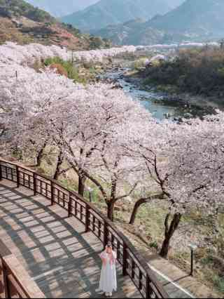 하동 구례 여행 코스 확인하기