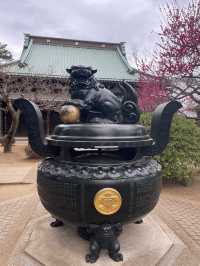 🇯🇵東京🫶🏻愛貓之人必去地方🐱❤️豪德寺📸