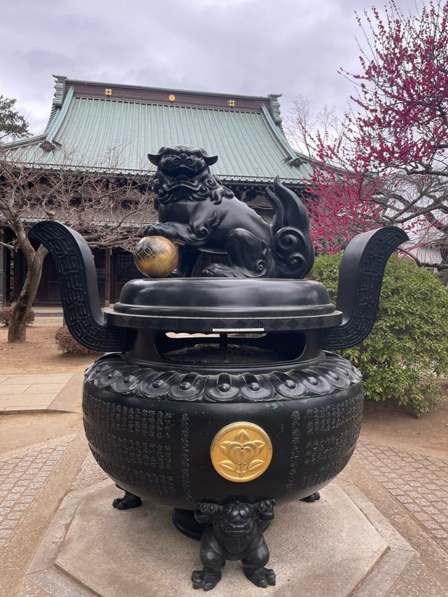 🇯🇵東京🫶🏻愛貓之人必去地方🐱❤️豪德寺📸