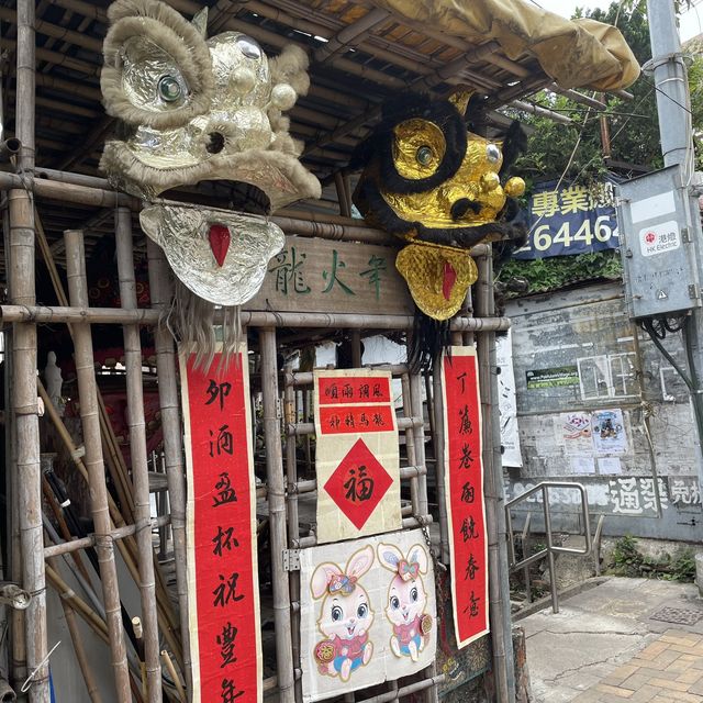 自家農田，香港僅餘的臨時房屋區