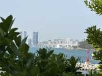 The best way to enjoy Busan’s beaches 🏝️