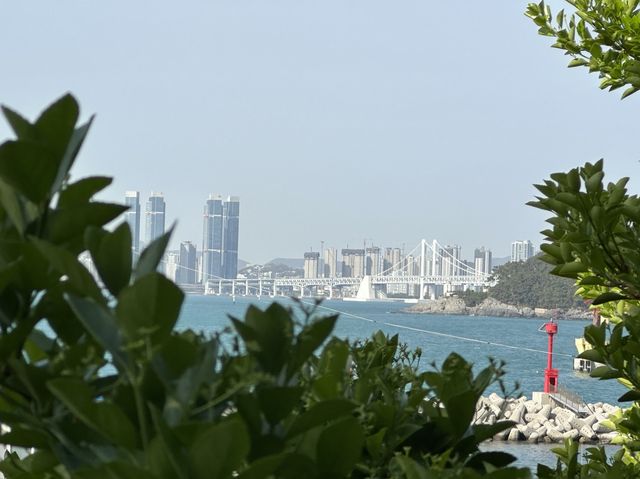 The best way to enjoy Busan’s beaches 🏝️