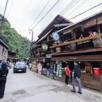  April cottage ดอยแม่กำปอง