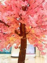 ⭐️原來係最後一日😱黃埔「5月限定櫻花🌸の旅」