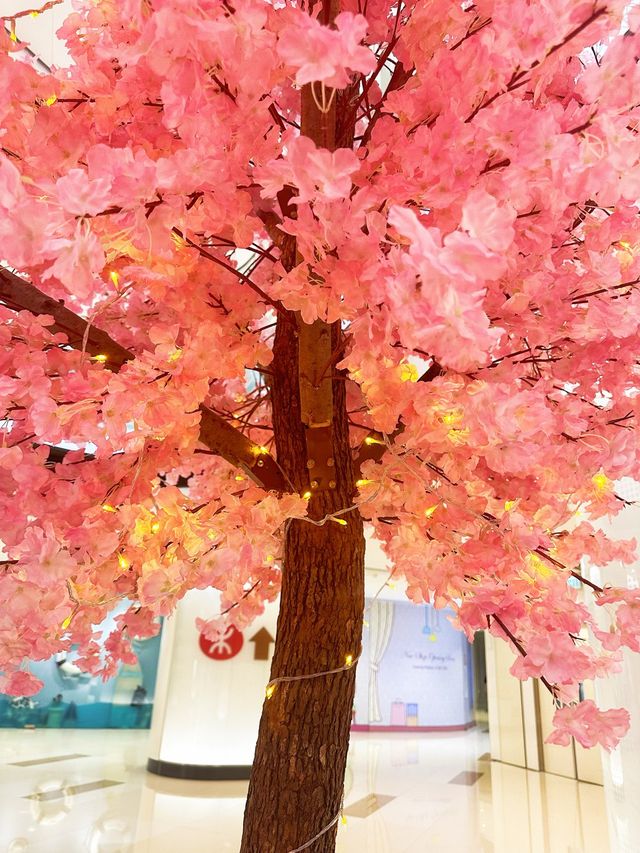 ⭐️原來係最後一日😱黃埔「5月限定櫻花🌸の旅」