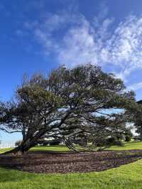 St Kilda Beach - Peaceful Winter Walk