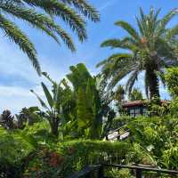 【沖縄旅行】kafuu resort fuchak condo hotel