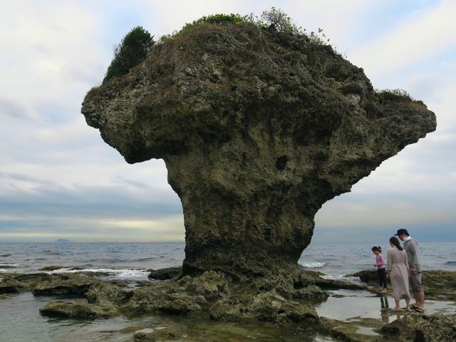 頭上長草的岩石🌿琉球海上《花瓶岩》🪨