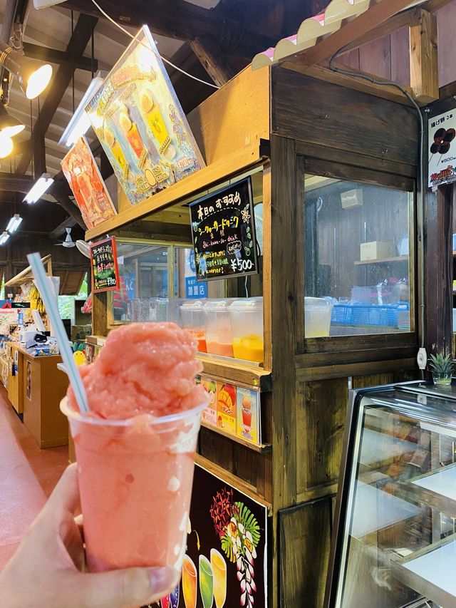 【沖縄/南城市】沖縄最大級の規模を誇るテーマパークおきなわワールド🌺