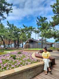 동해안 최대 해변은 바로 여기! 경포해변🏖