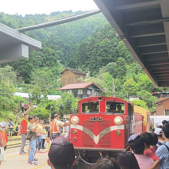 奮起湖百年老街鐵道之旅