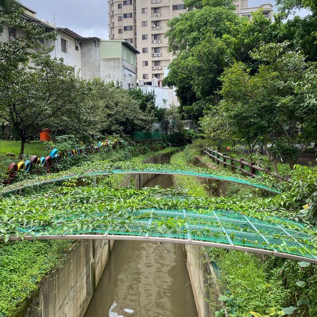 莒光環保公園🐕
