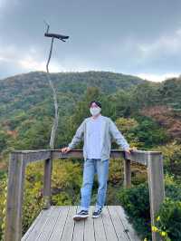 포항 숲속뷰 치앙마이감성 선류산장🌸
