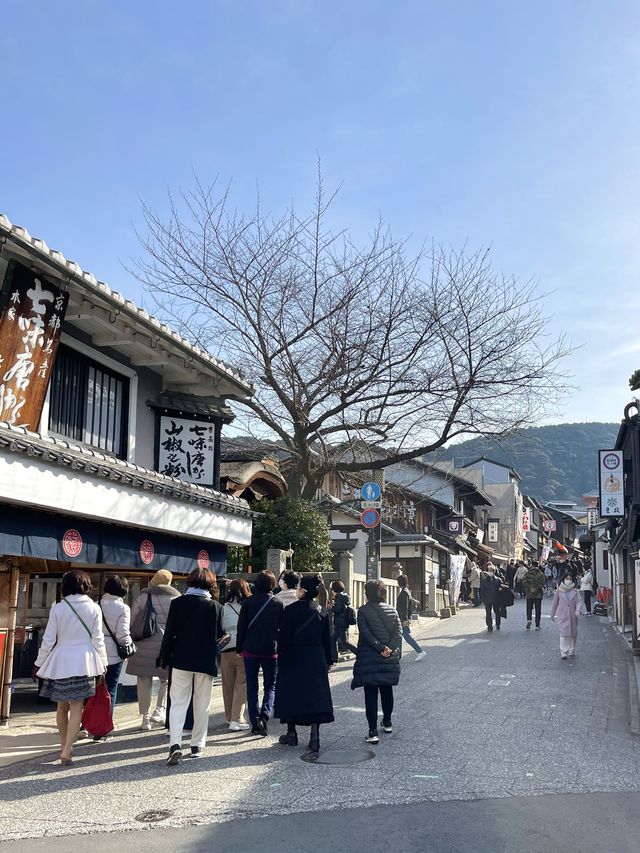 日本京都絕不能錯過的景點-清水寺