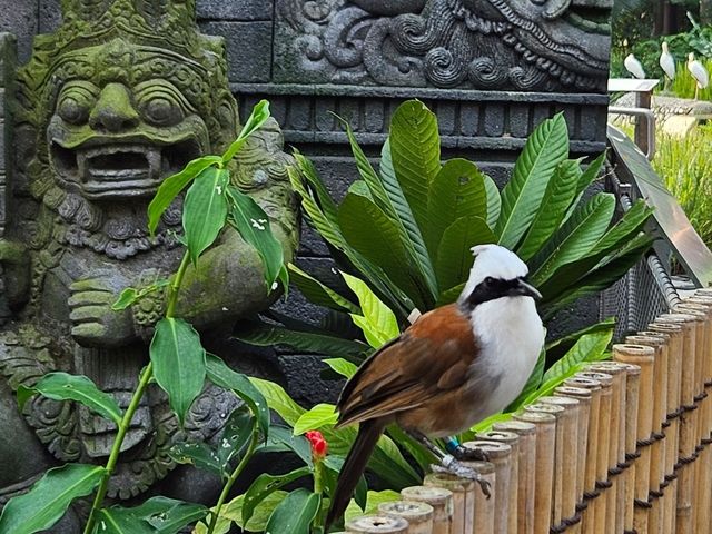 Asia's Largest Bird Park!  